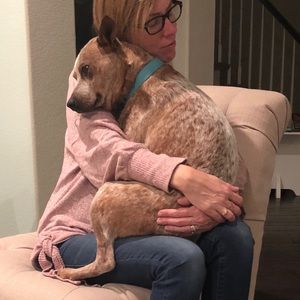 Meet your Posher, Laura